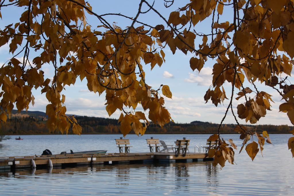 Robert'S Roost Rv Park Resort Quesnel Εξωτερικό φωτογραφία