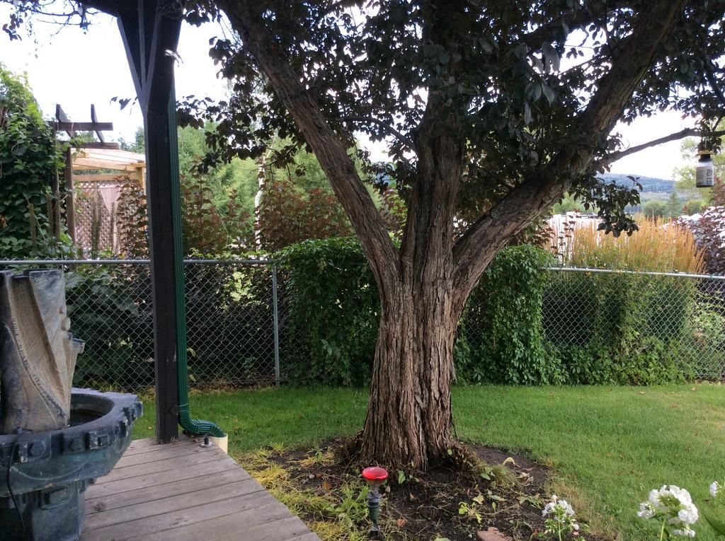 Robert'S Roost Rv Park Resort Quesnel Εξωτερικό φωτογραφία