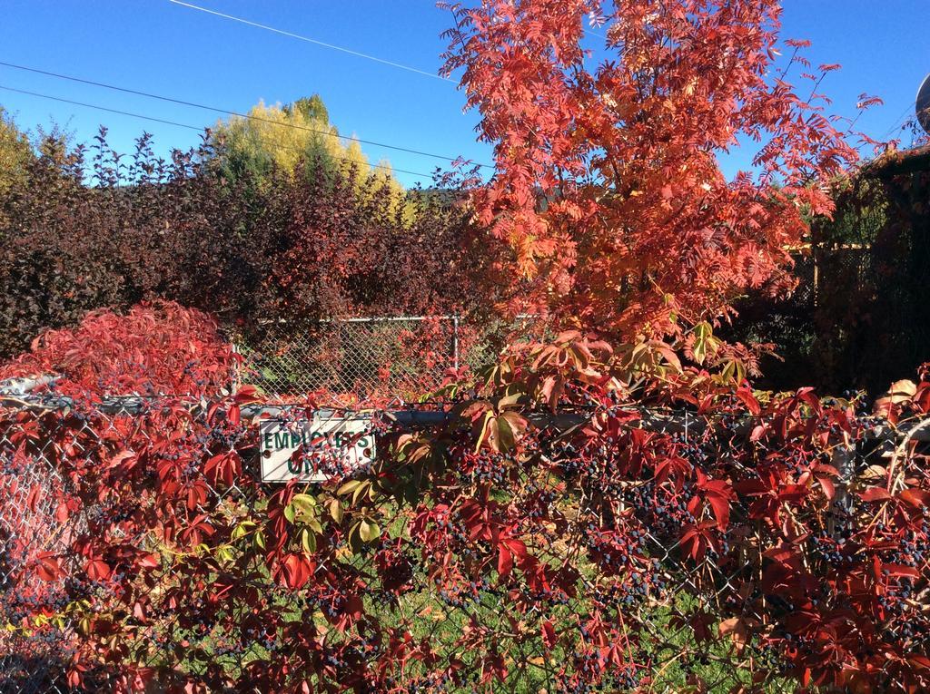 Robert'S Roost Rv Park Resort Quesnel Εξωτερικό φωτογραφία